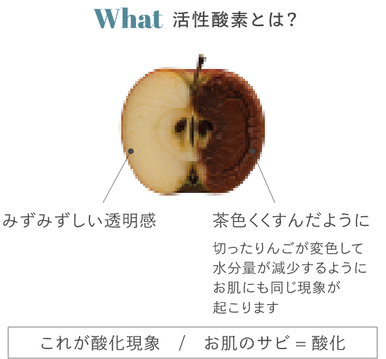活性酸素とは。りんごの変色と同じように、お肌にも酸化が起こります