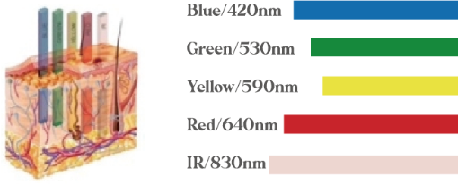 LEDの波長。青420nm、緑530nm、黄590nm、赤640nm、近赤外線830nm